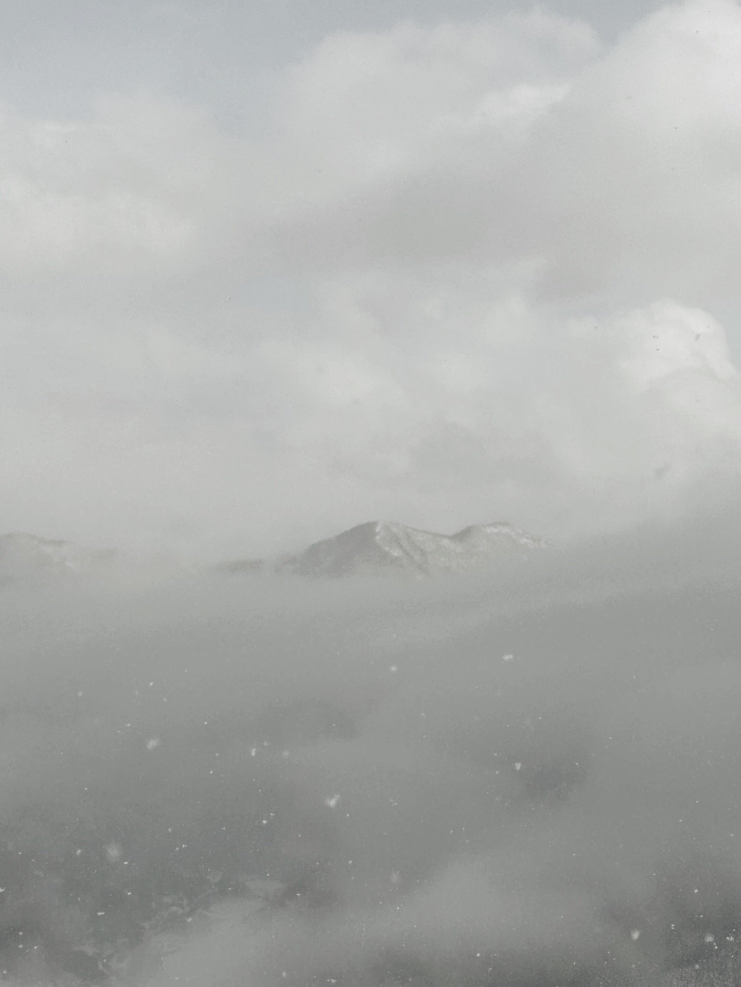 A quiet journey with scent.
Opening the senses,
returning to stillness,
listening inward. 

香りと自然と、
となり合わせ

.

.

#naturehealing #scentofnature #powerofnature #自然の香り #癒しの香り