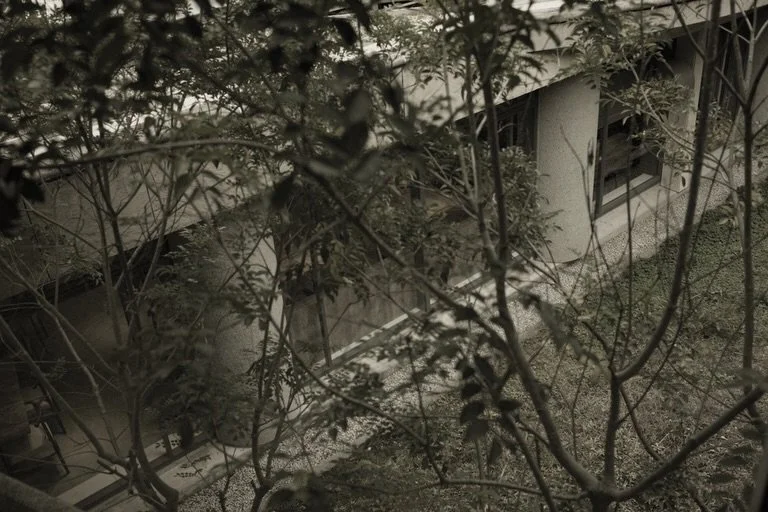 A place where a gentle sea breeze carries notes of sea salt, Japanese pine, and camellia.
 &zwj; 潮の香りを含んだ風と
やわらかな光に包まれる場所

@webasekamakura 

.

.

#webasekamakura #boutiquehotels #japanhotel #香り