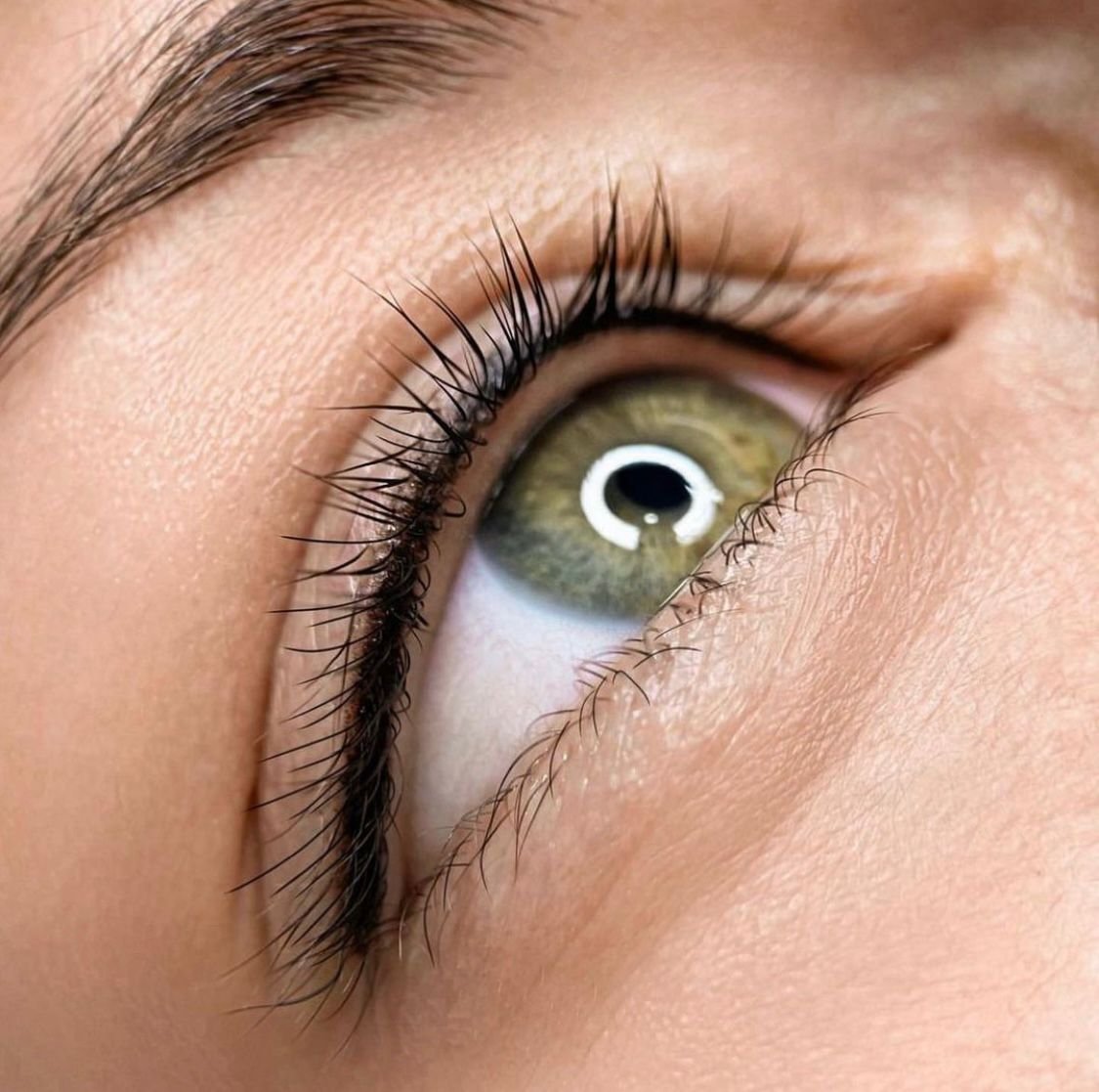 WhatsApp Image 2026-01-15 at 5.51.01 PM.jpeg