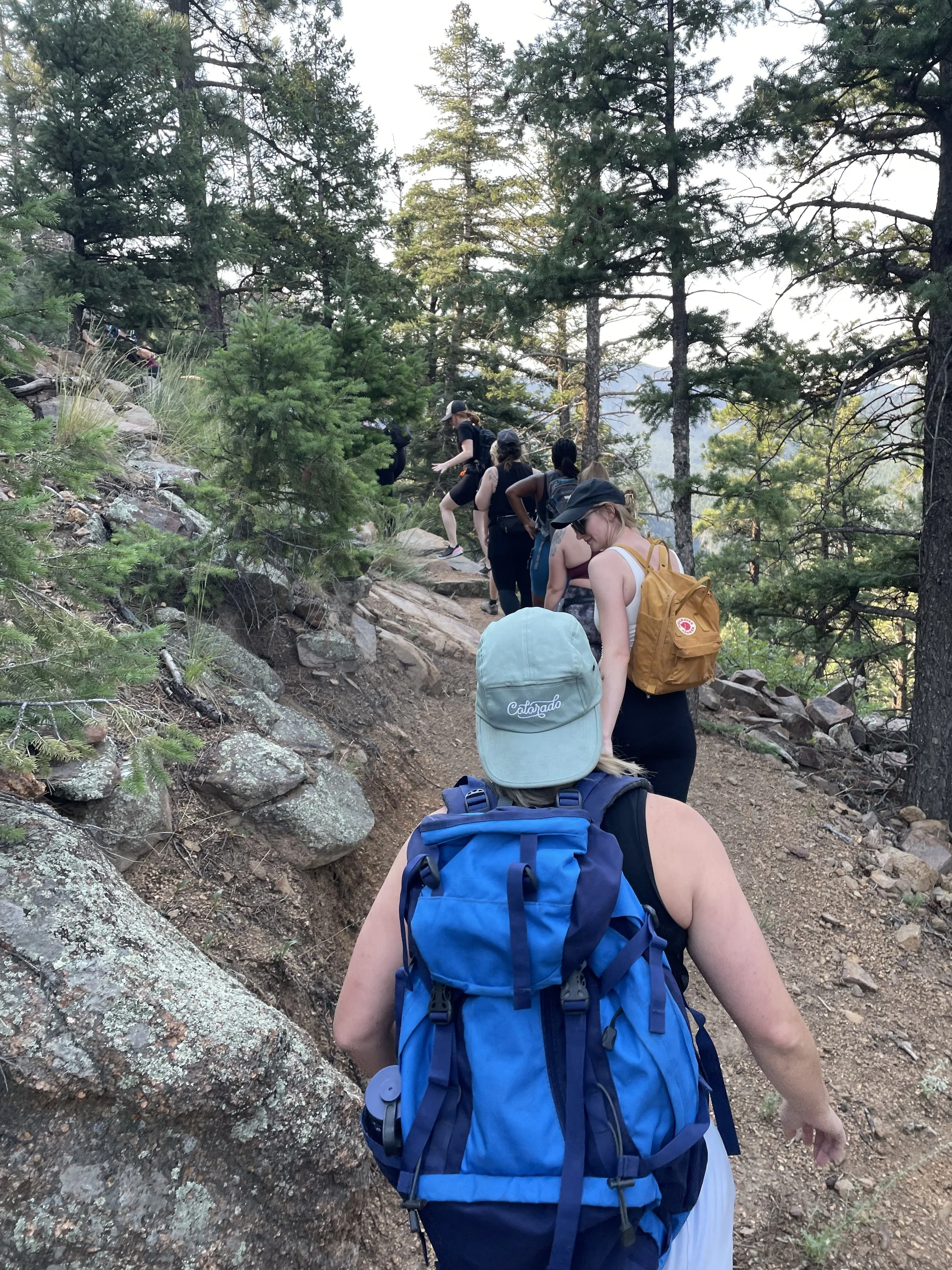 Group of hikers walking along a rugged trail in a forested area with tall pine trees.