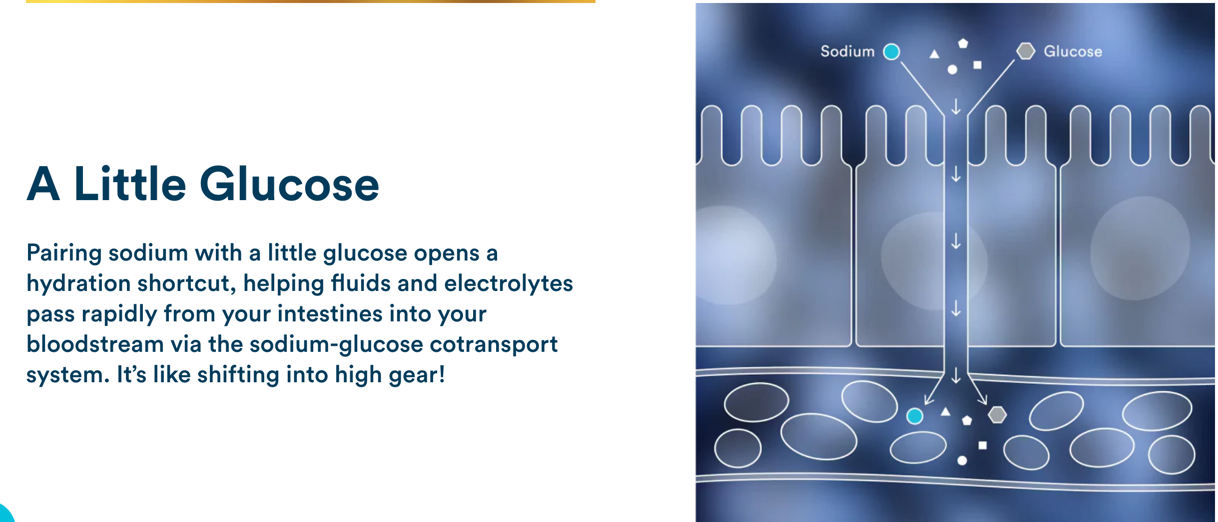 Screenshot 2026-01-12 at 4.44.54 PM.png