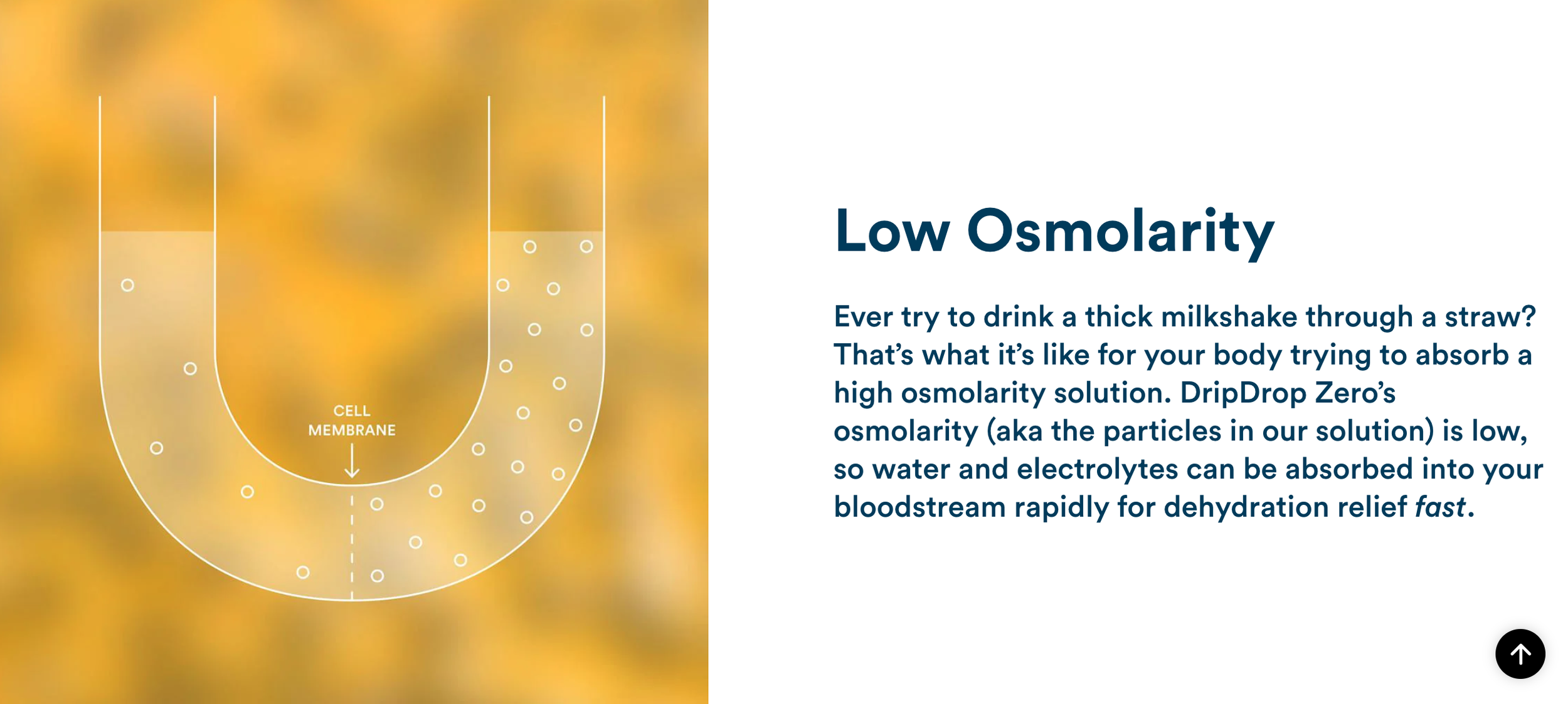 Screenshot 2026-01-12 at 4.46.19 PM.png