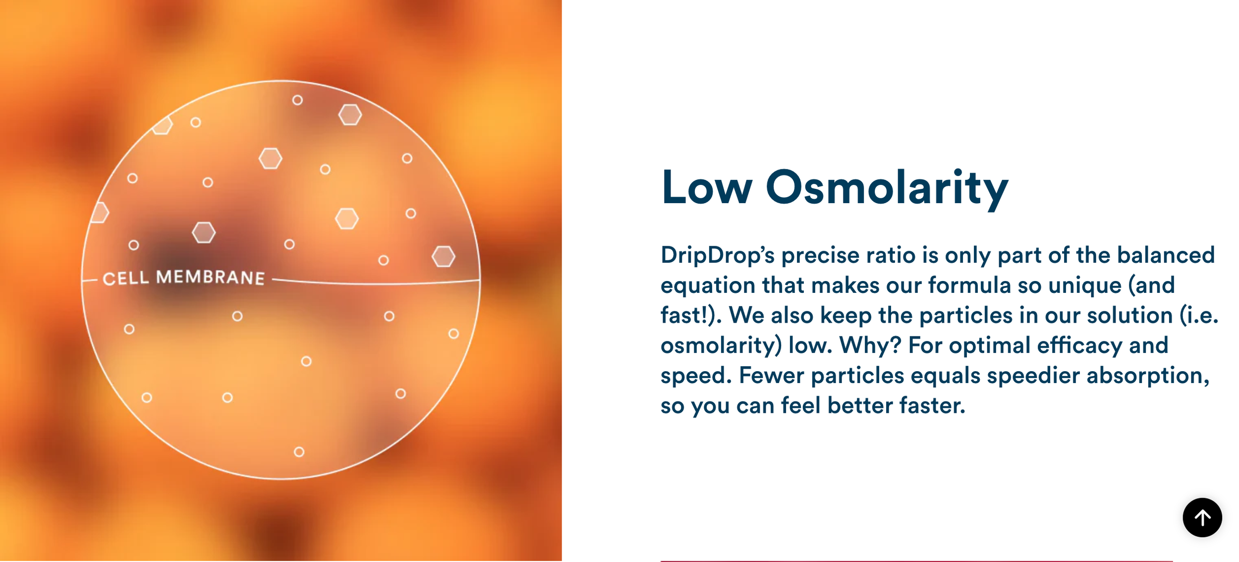 Screenshot 2026-01-12 at 4.45.08 PM.png