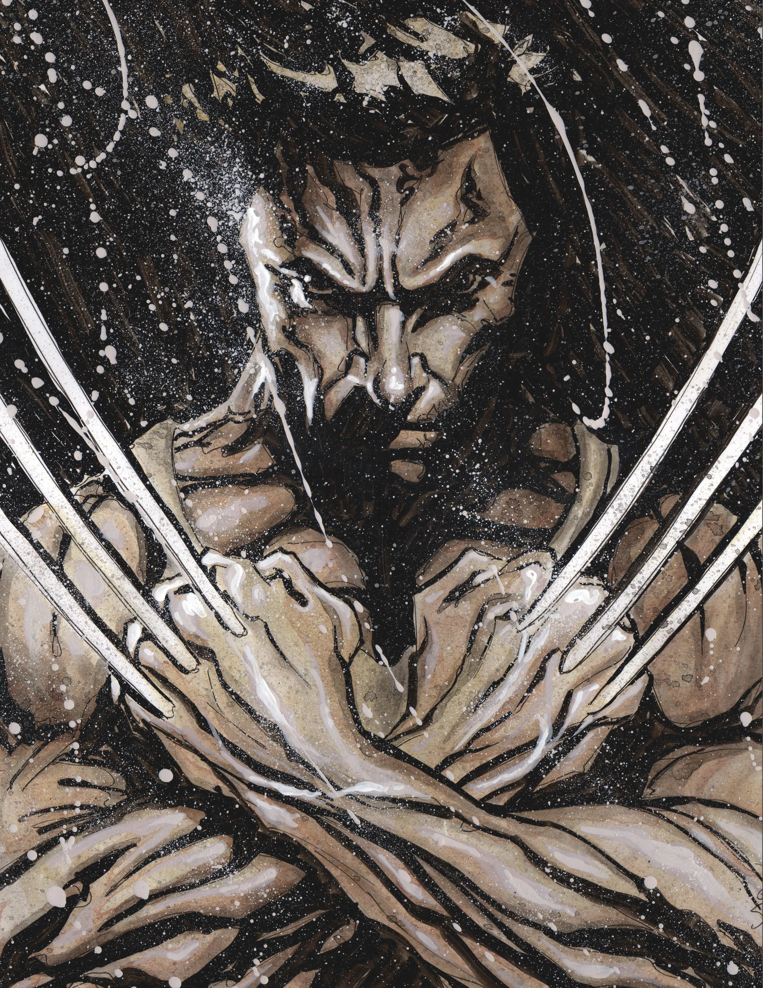 Wolverine-1 small.jpg