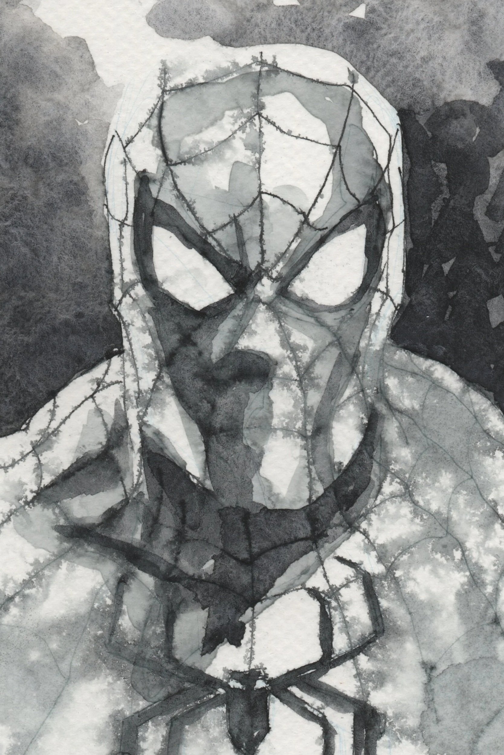 Spider-Man-384.jpg