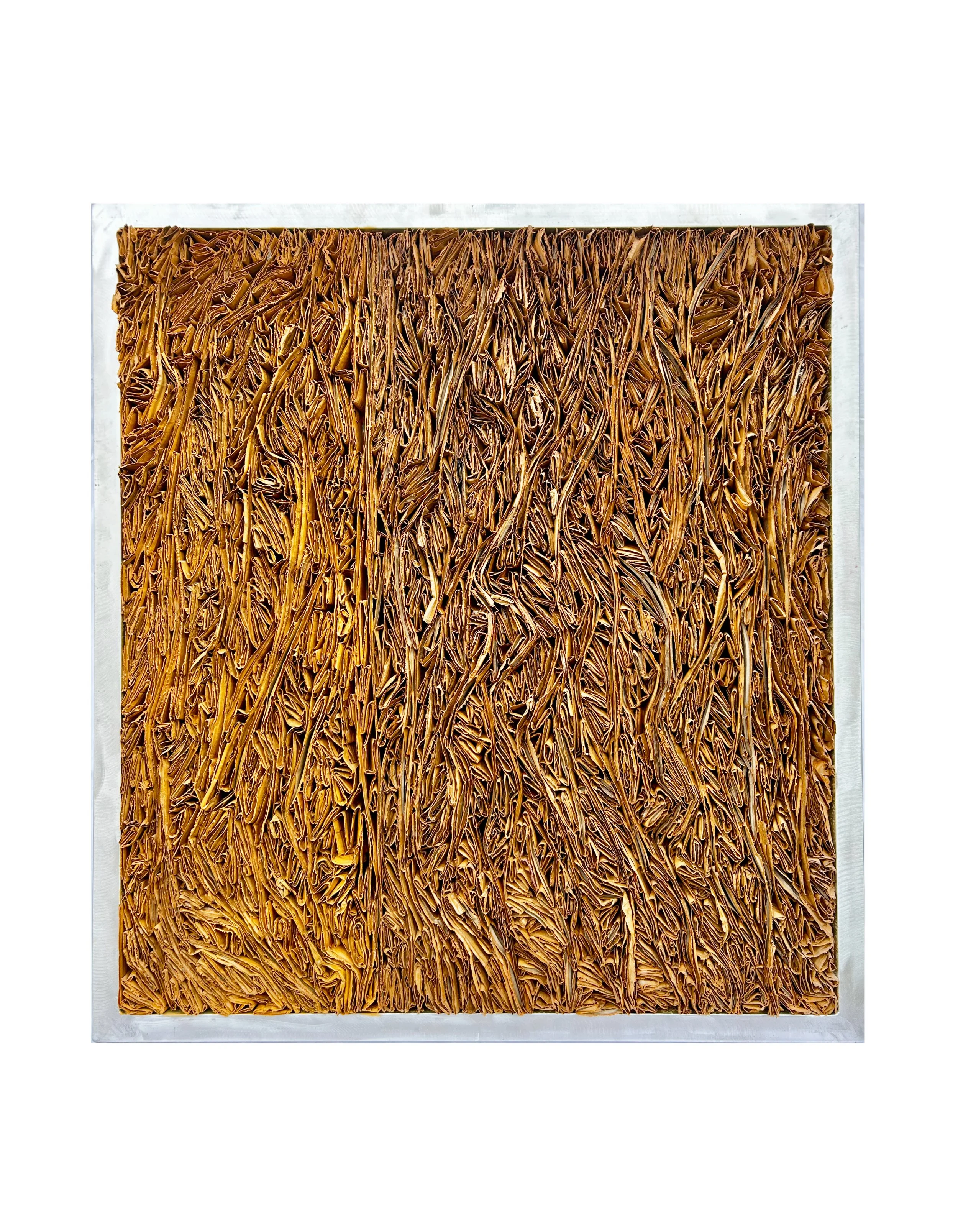 IMG_5672_2022 Carton 110x120 (1).jpg