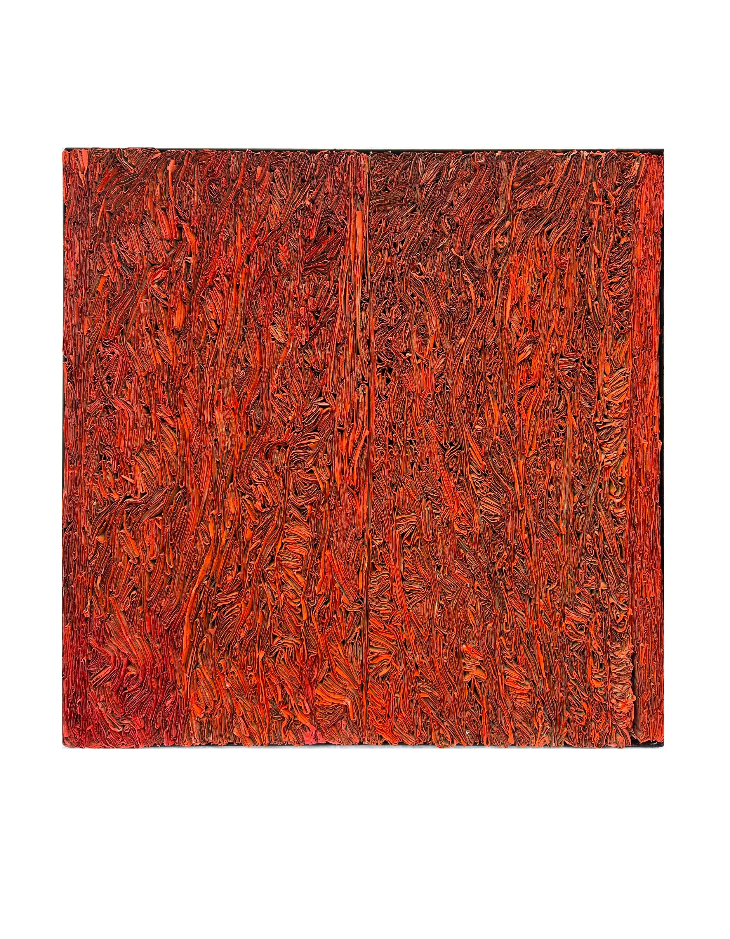 IMG_5683_2022 Carton 110x120 copie.jpg