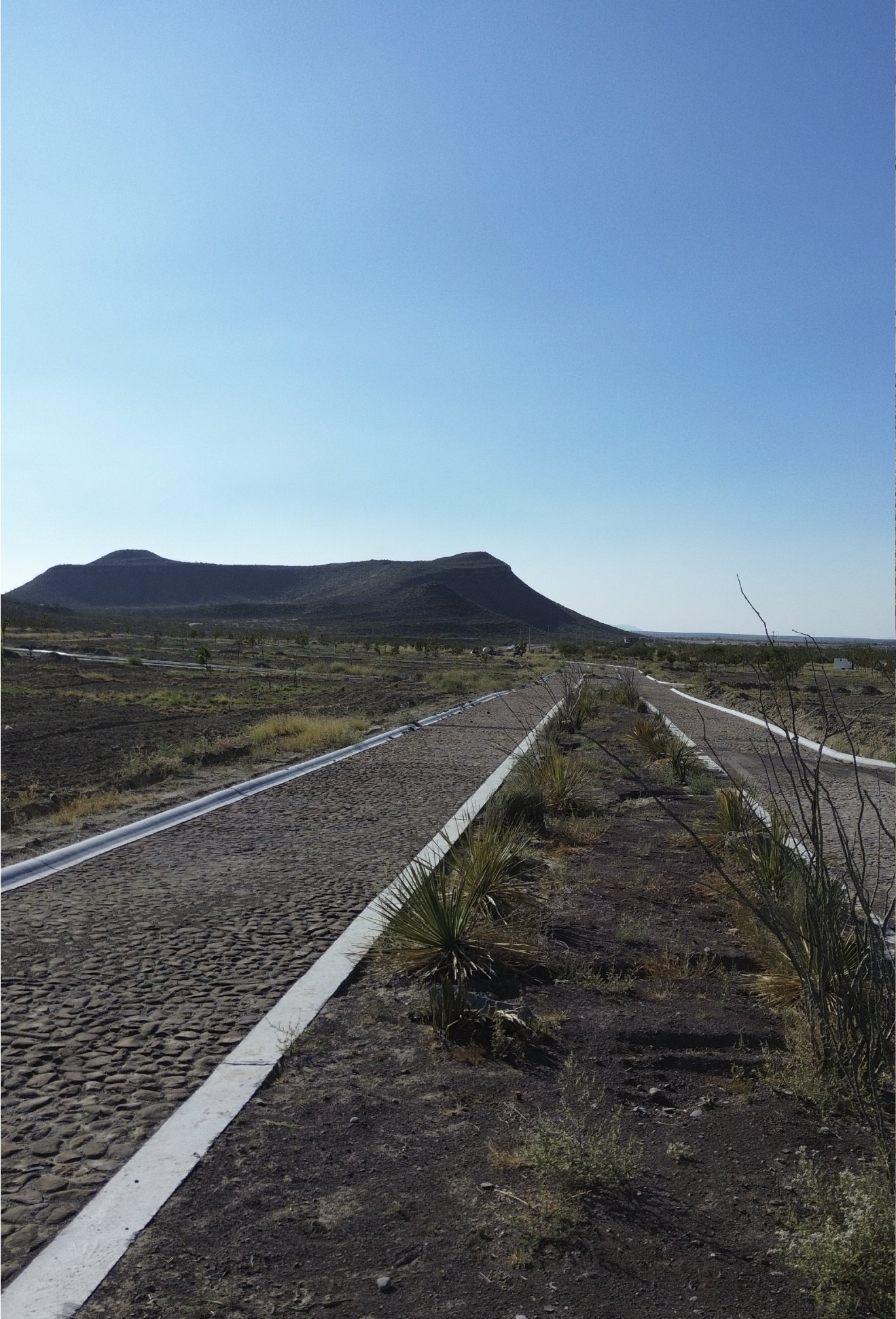 Ciclovía de adoquín que se extiende hacia el horizonte en un paisaje desértico, con la montaña al fondo y cielo despejado. Una muestra del avance y progreso en la construcción de vialidades en Sierto, donde la infraestructura se integra.