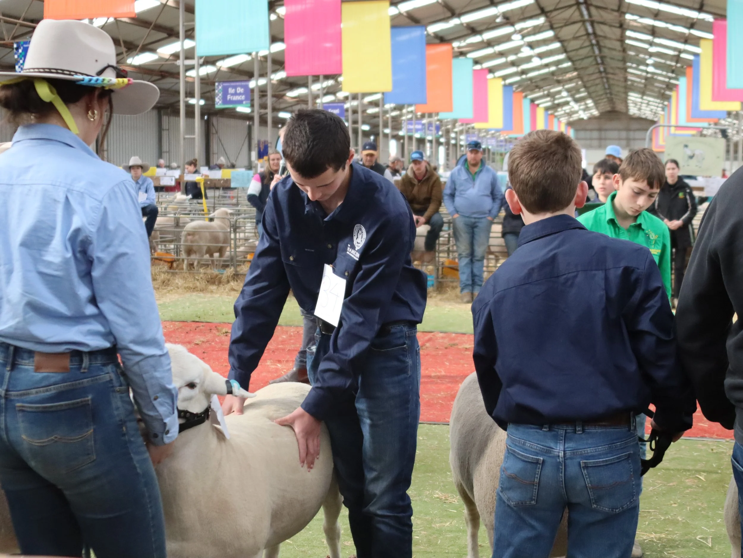 02-03/08/2026 Sheepvention