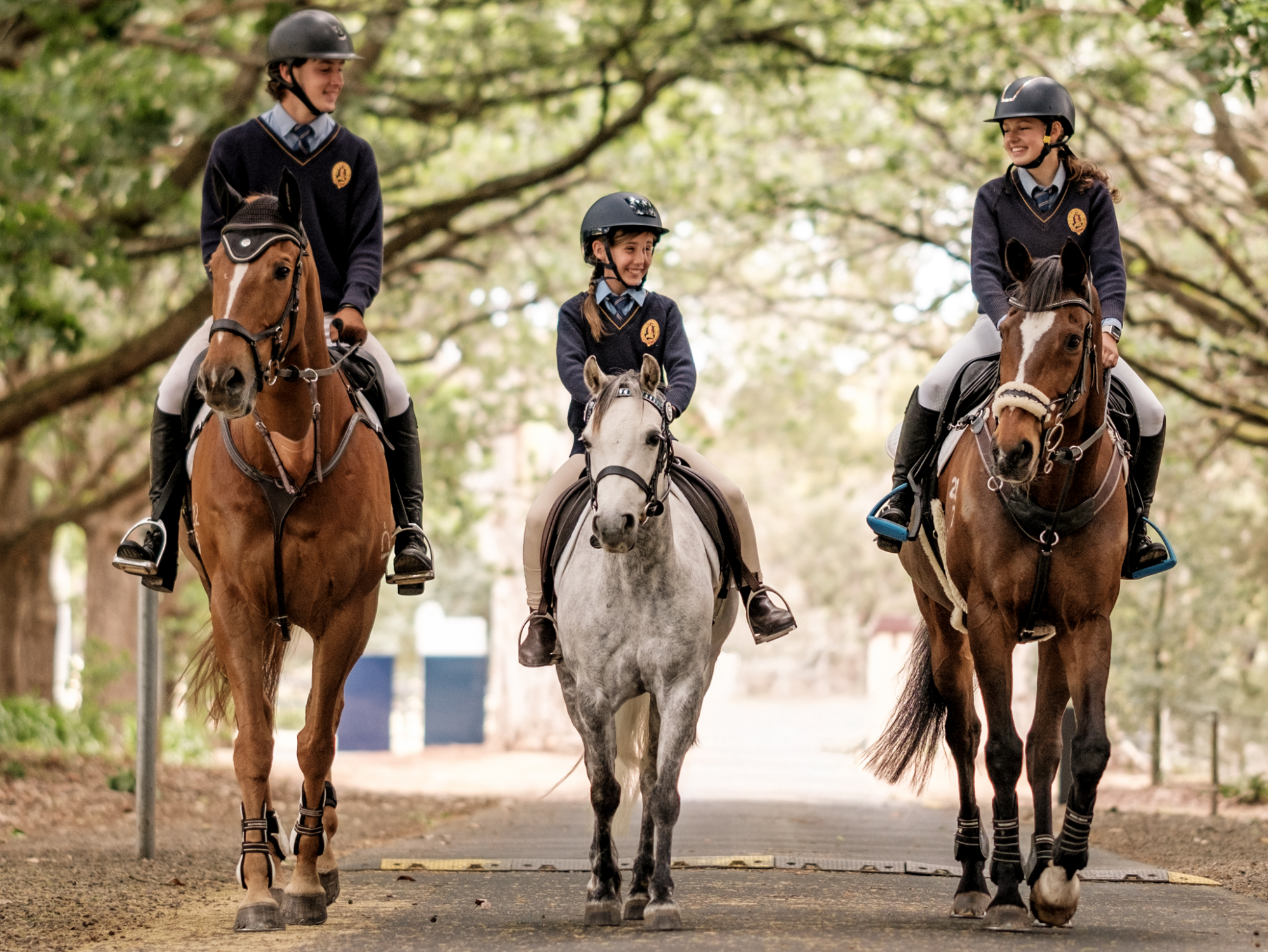 MENS VEST - Equestrian Team Shirt