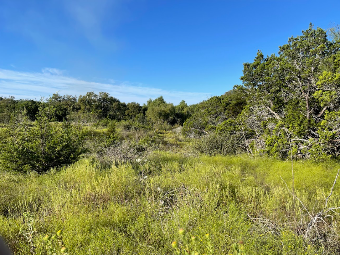 Screenshot 2026-02-22 111908.png