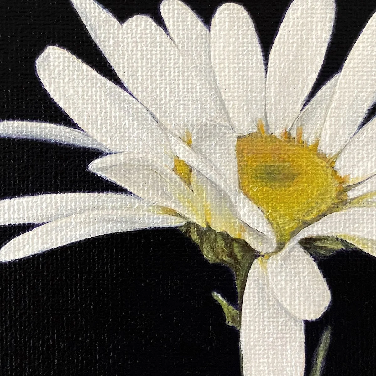 White6_crop_daisy.jpg