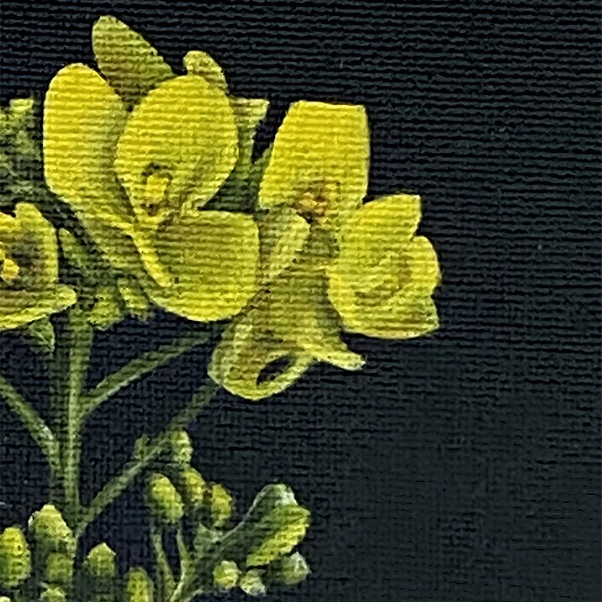 StudyYellow1_crop_mustard.jpg