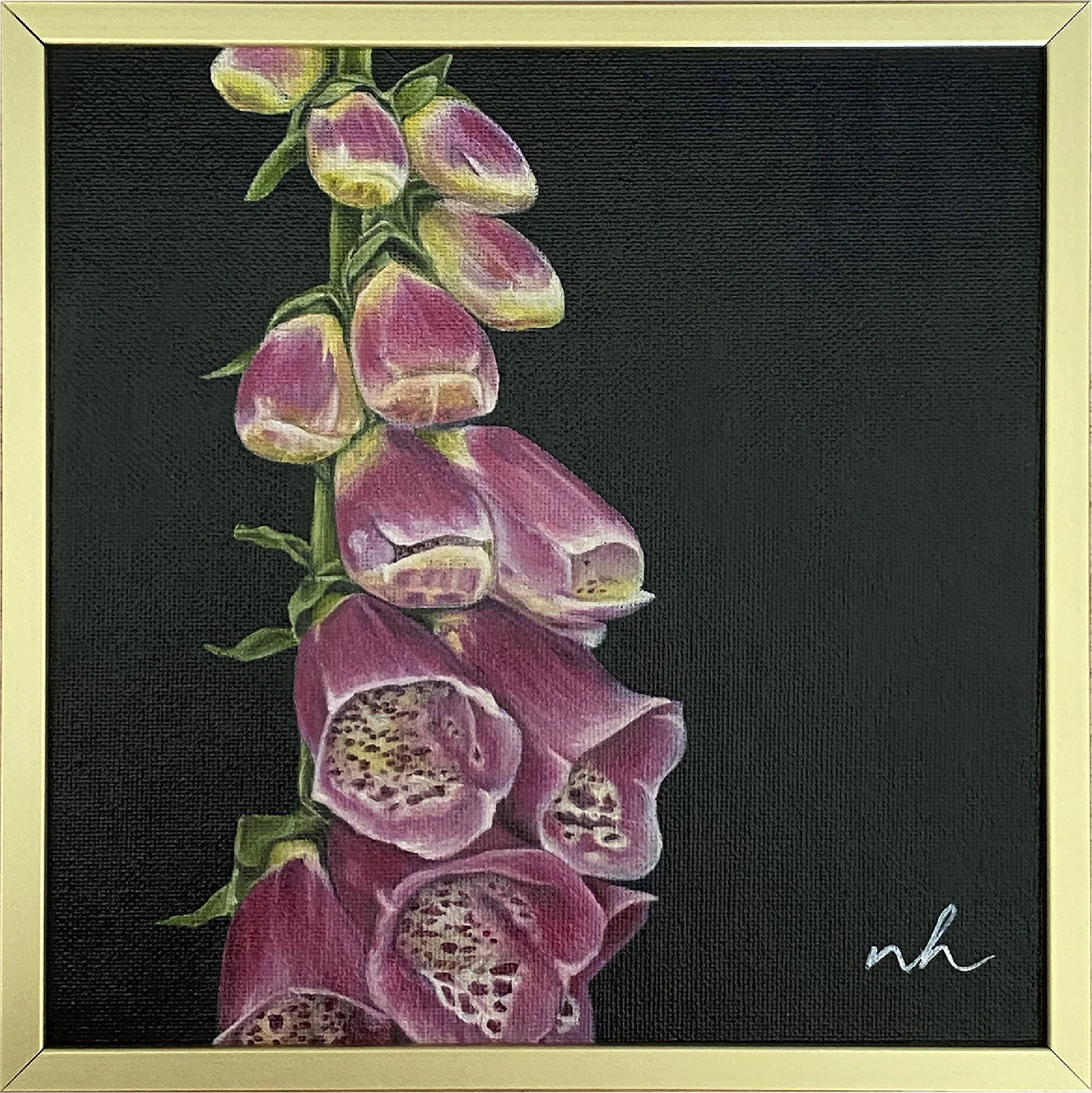 Foxglove_study_framed.jpg