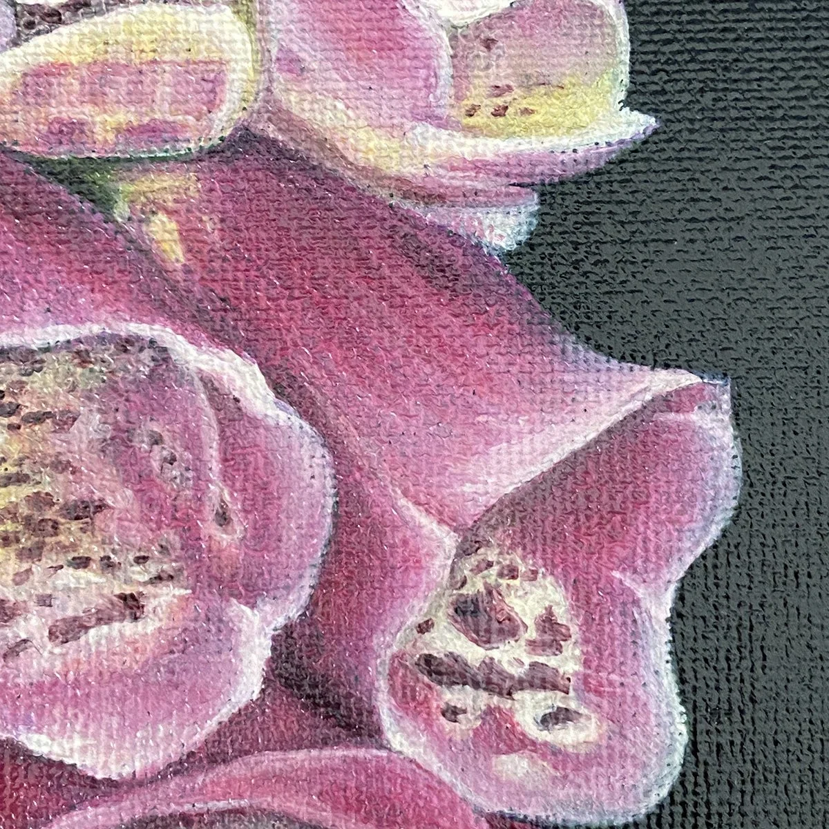 Foxglove_study_crop.jpg