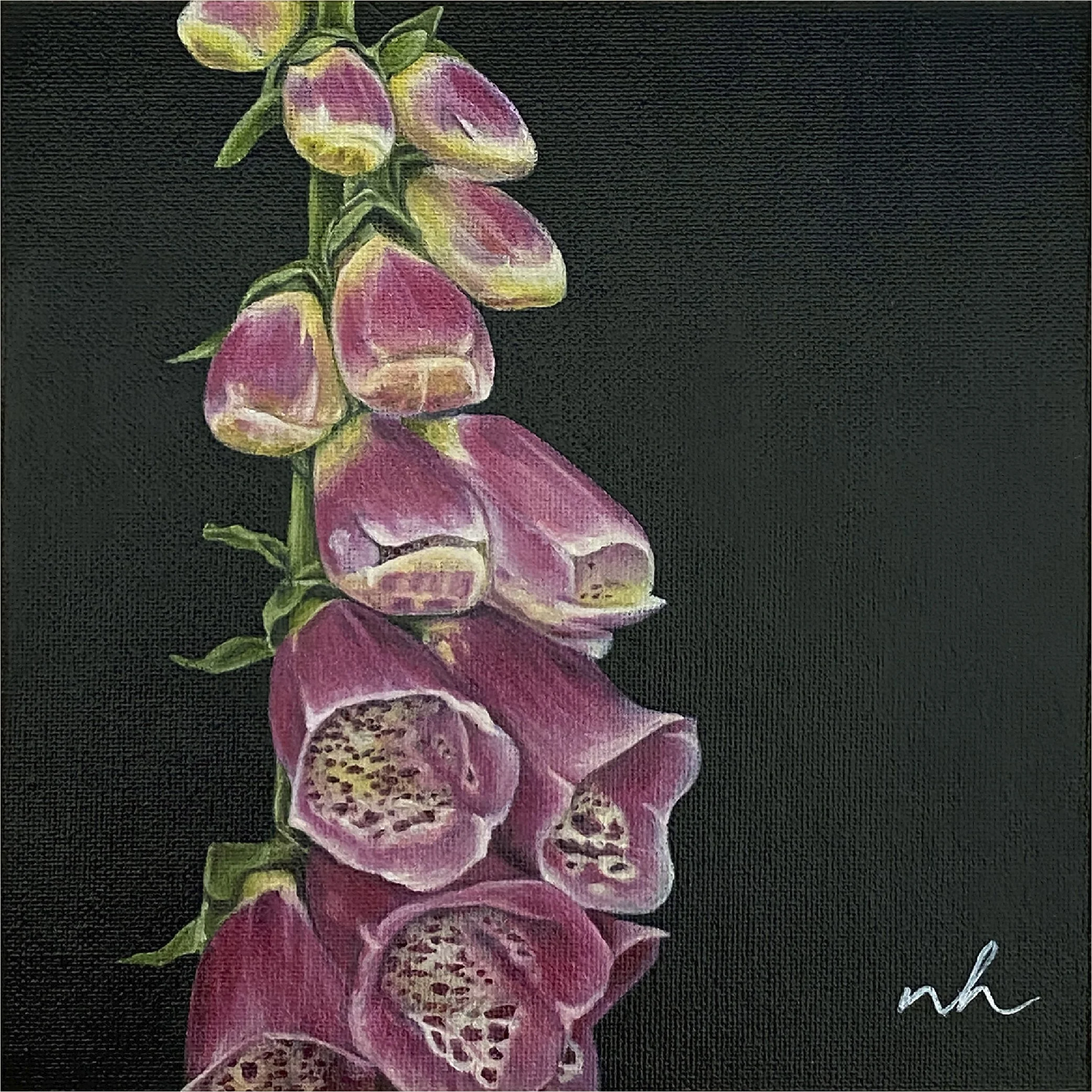 Foxglove_study_unframed.jpg