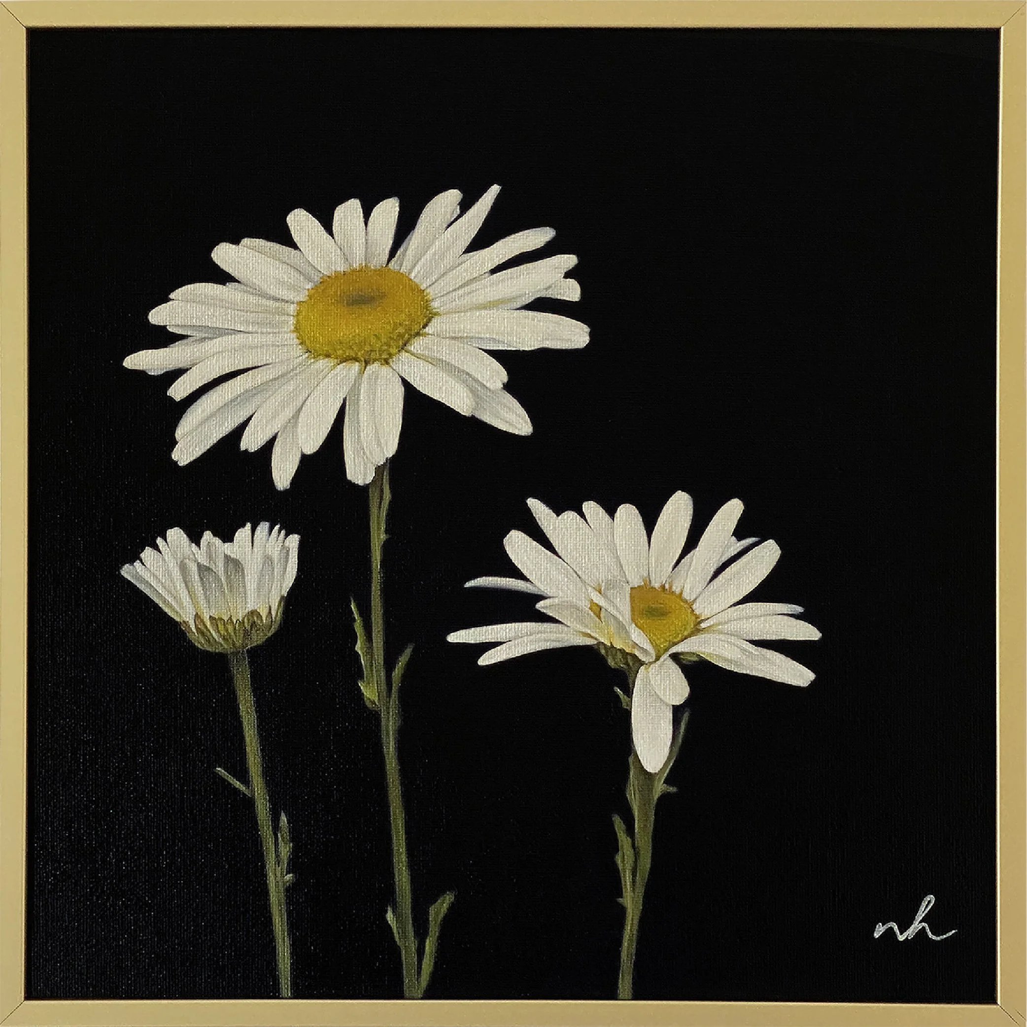 White6_daisy_framed.jpg