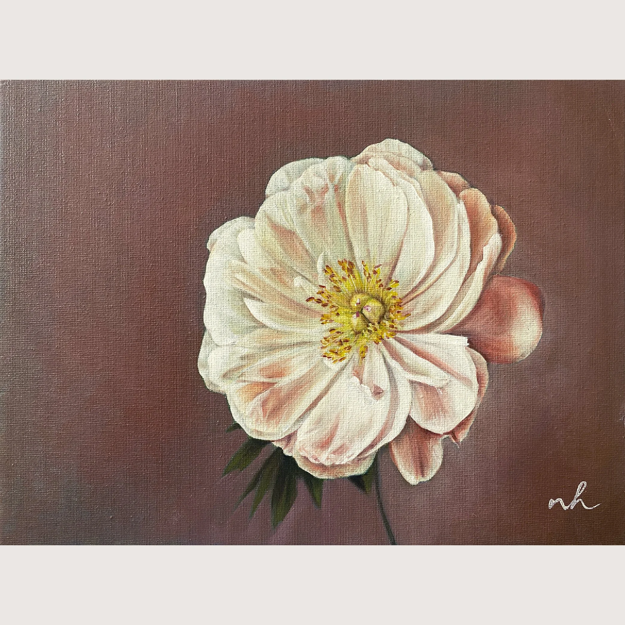 Sweet Peony 2 - Study