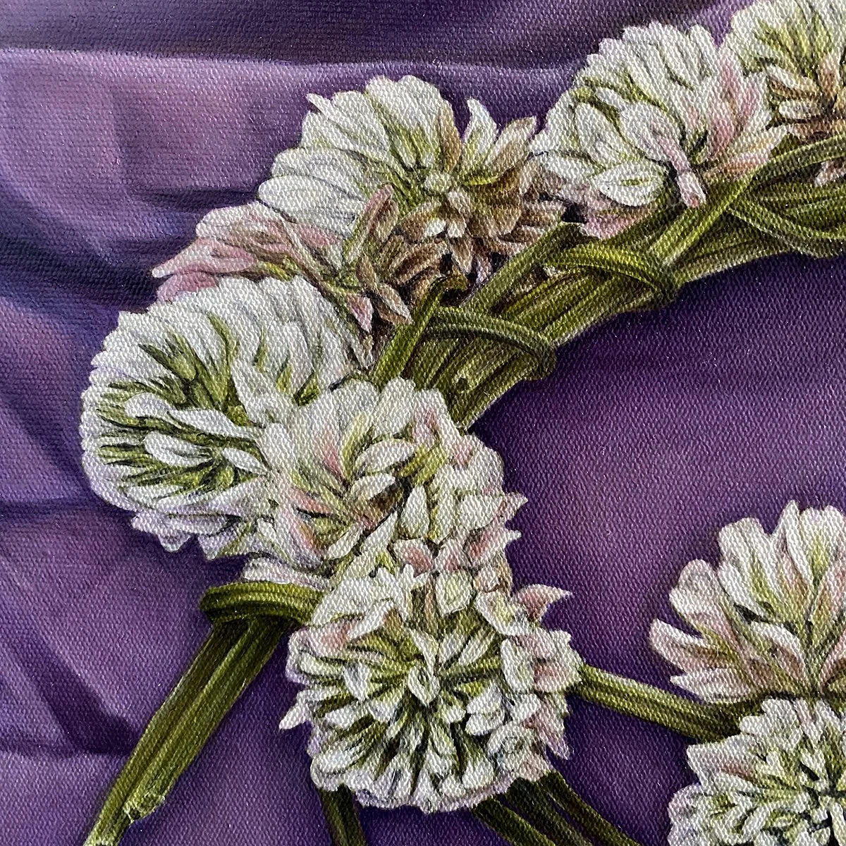 ACrown_crop1_clover.jpg