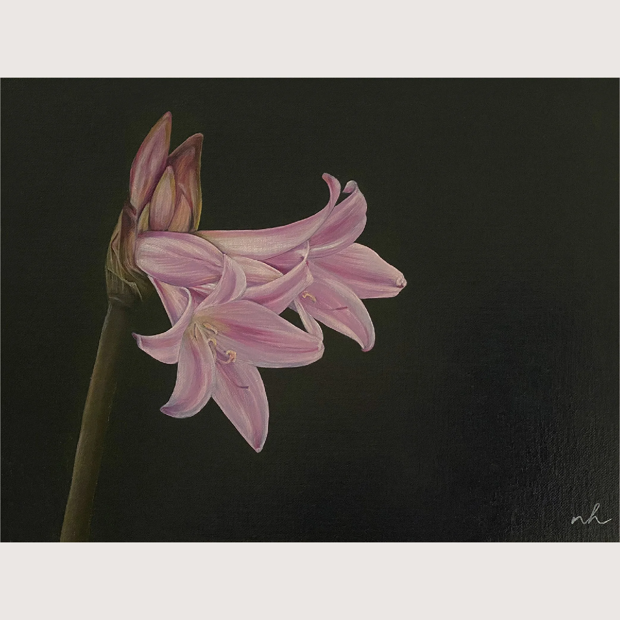 Pink2_lily_unframed.jpg