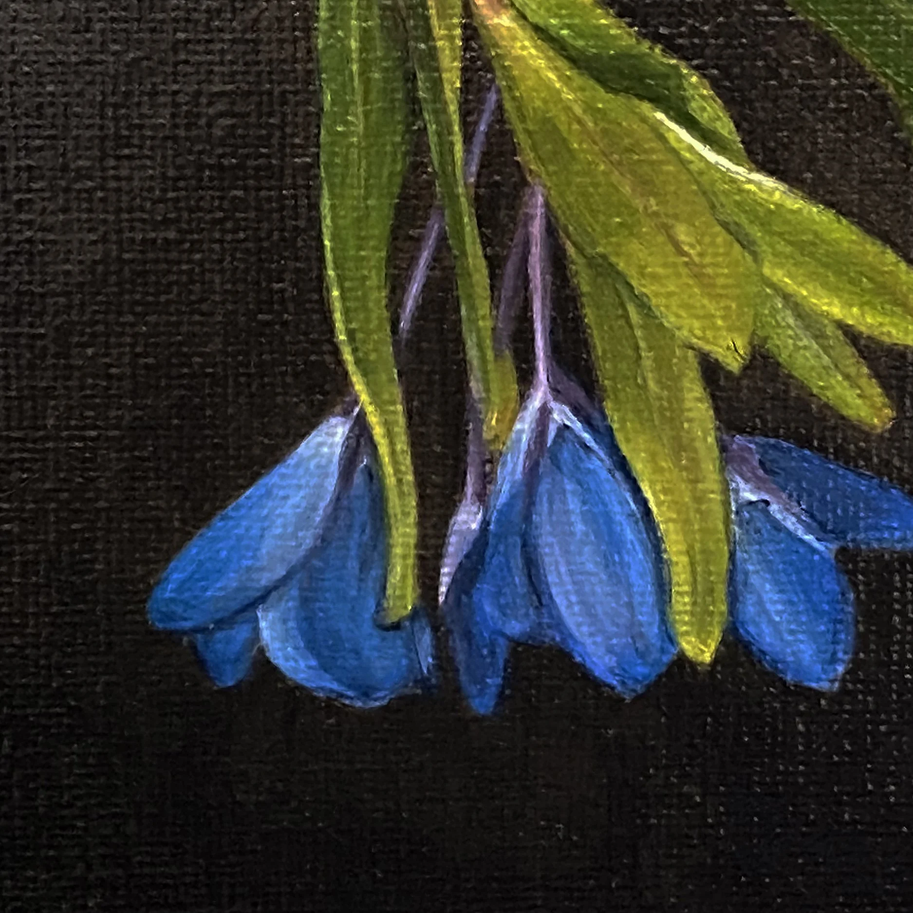 Blue1_crop_bluebells.jpg
