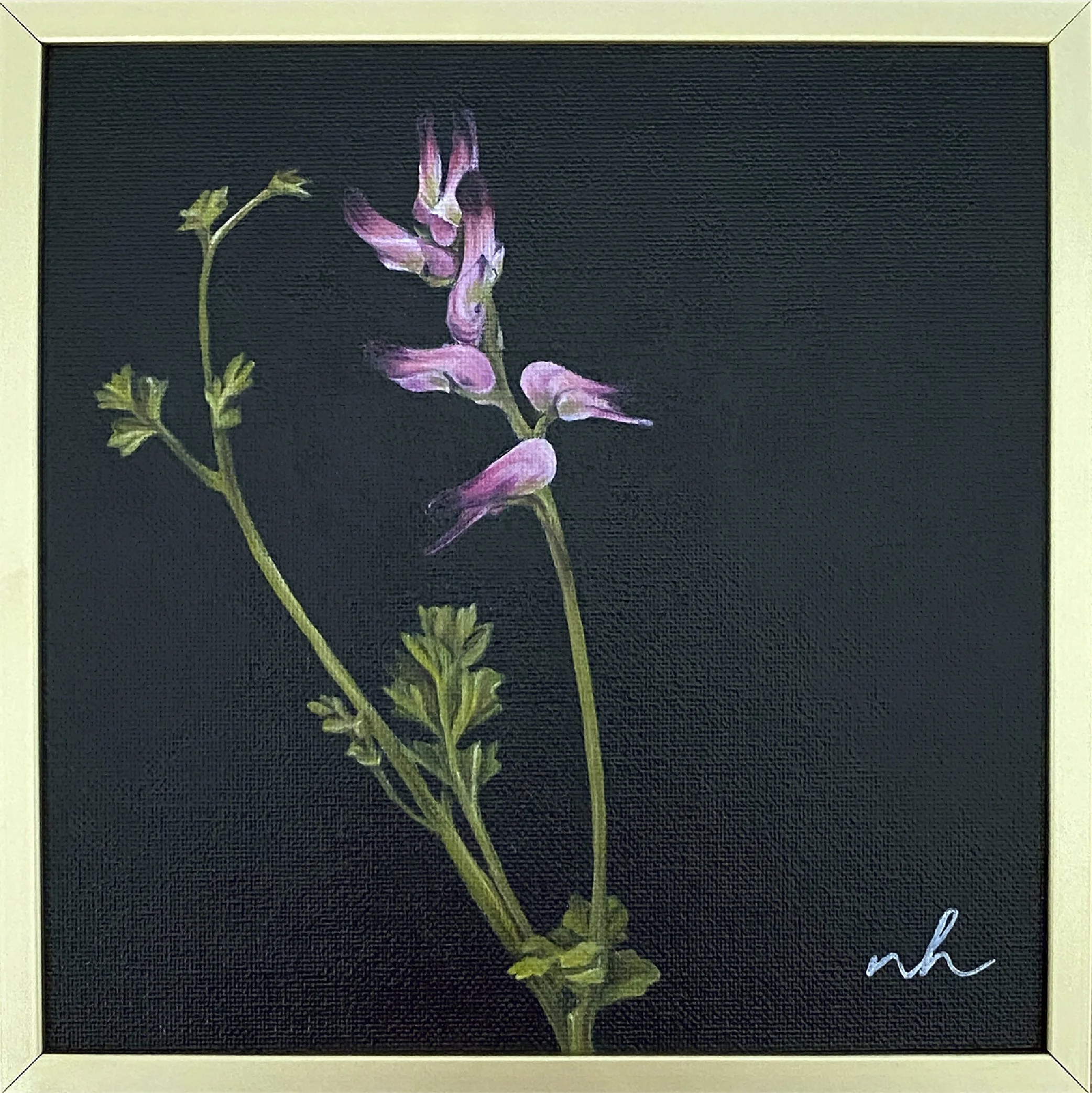StudyPink1_fumitory_framed.jpg