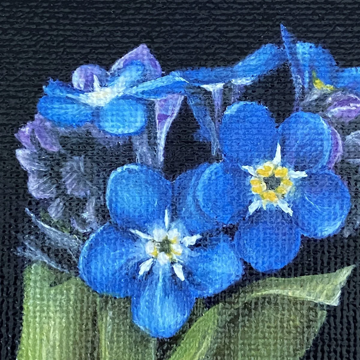 StudyBlue2_crop_forgetmenot.jpg