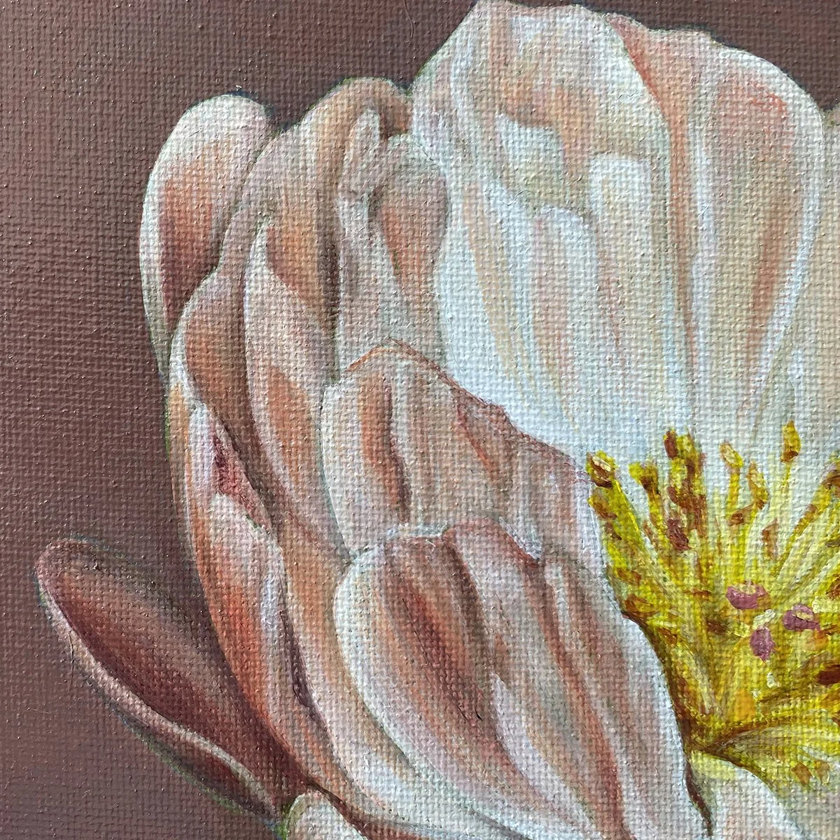 SweetPeony1_crop.jpg