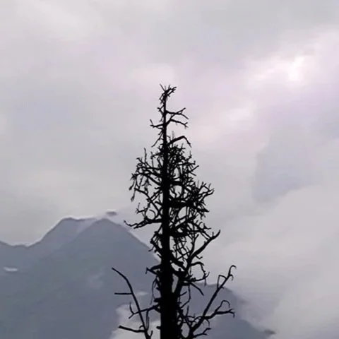 It’s cold up there collection, 2008