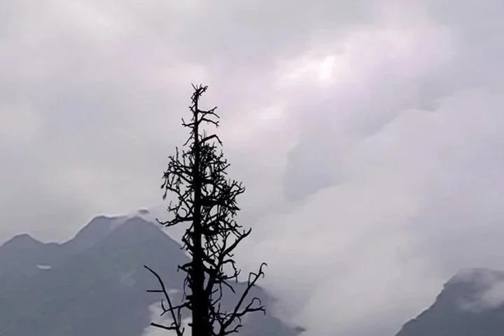 Faulds_Kate_It's cold up there.jpg