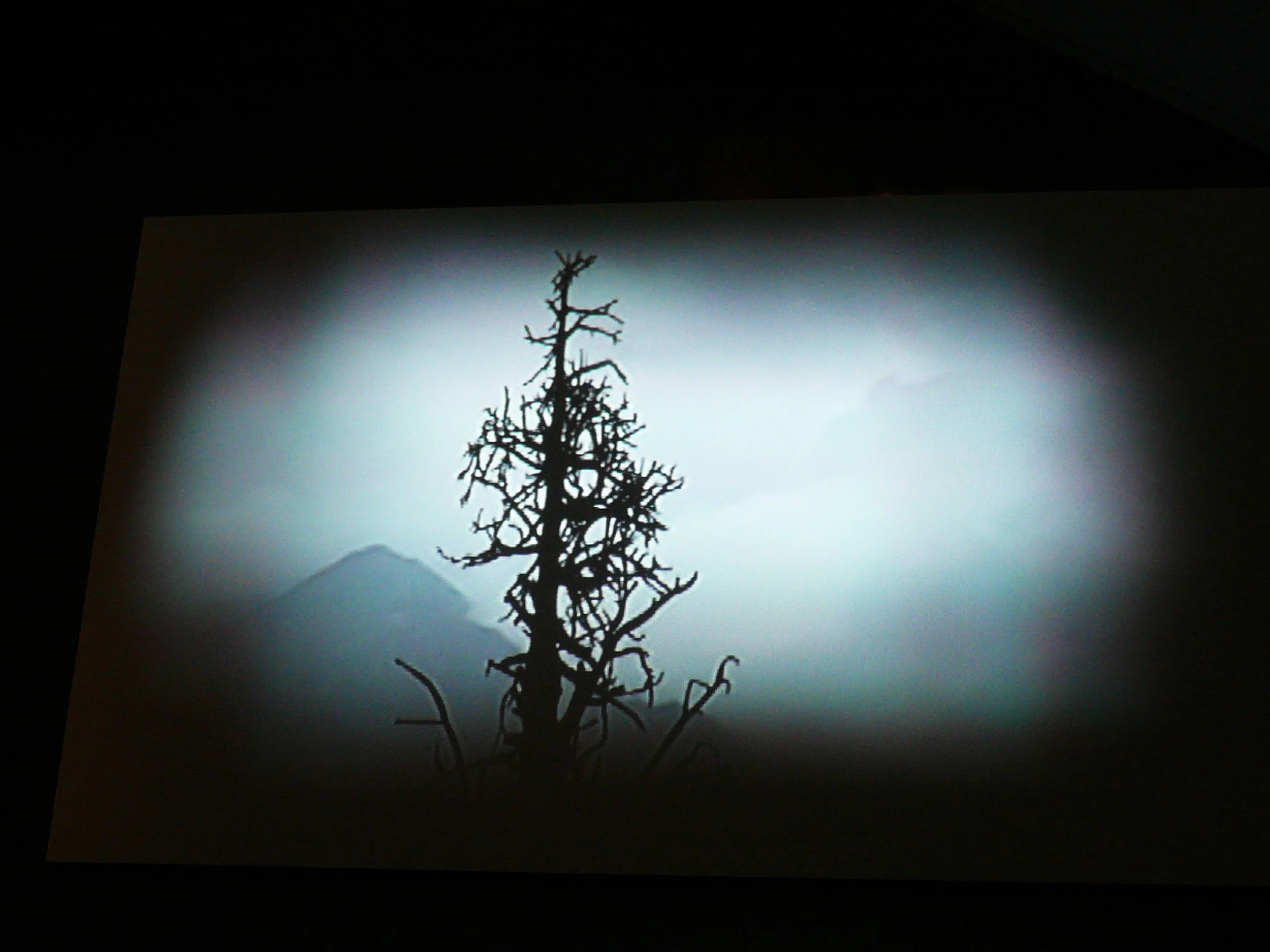 It's cold up there2.jpg