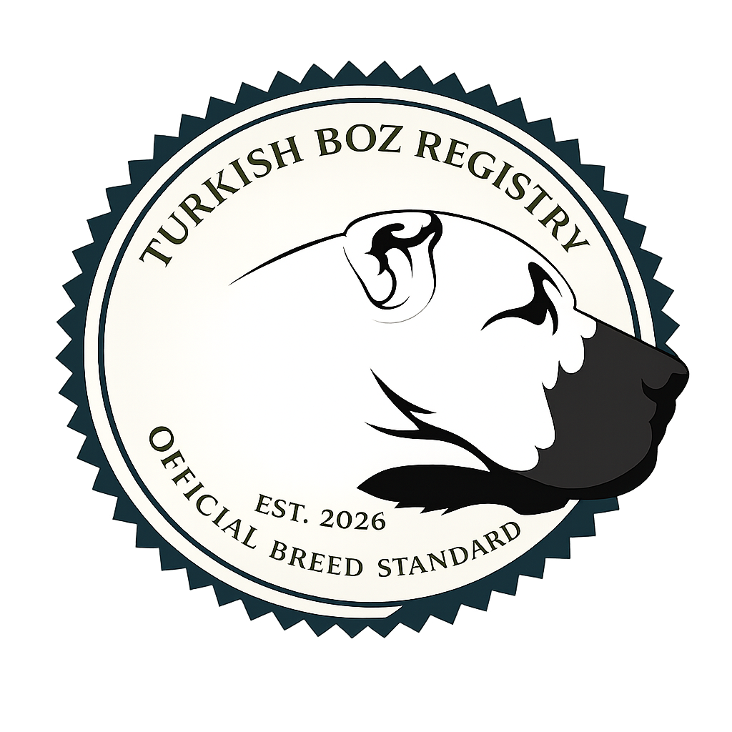 Turkish Boz Registry