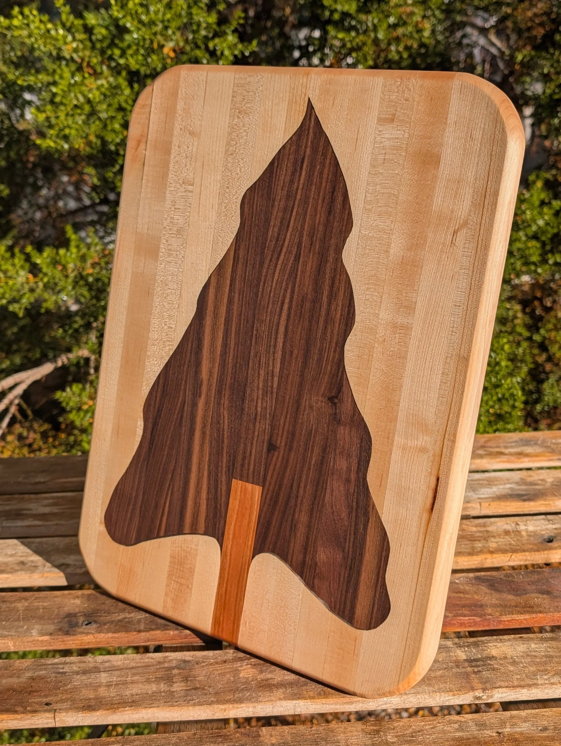 PXL_20251225_164421220~2 (1).jpg