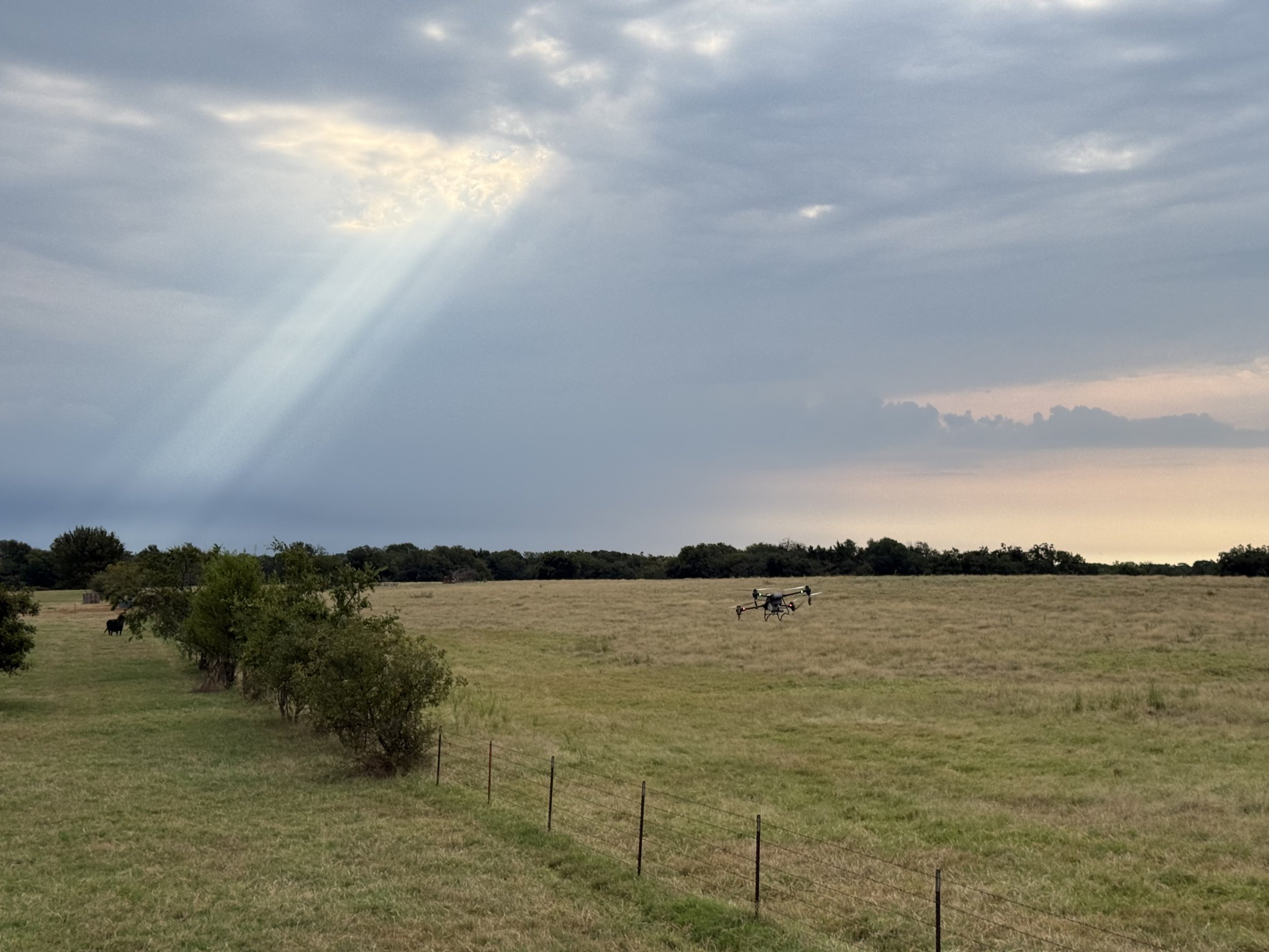 Pasture & Brush Control