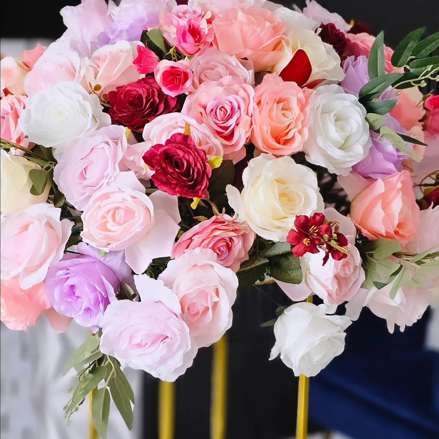 WhatsApp Image 2026-01-31 at 3.33.29 PM.jpeg