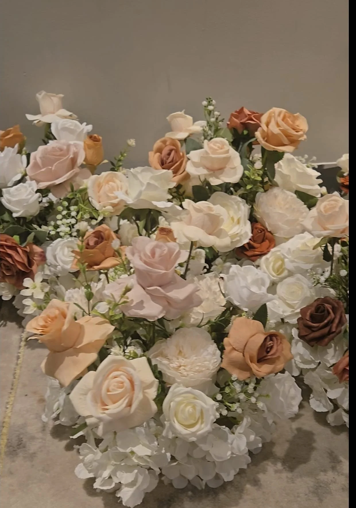 WhatsApp Image 2026-01-22 at 12.59.29 PM.jpeg