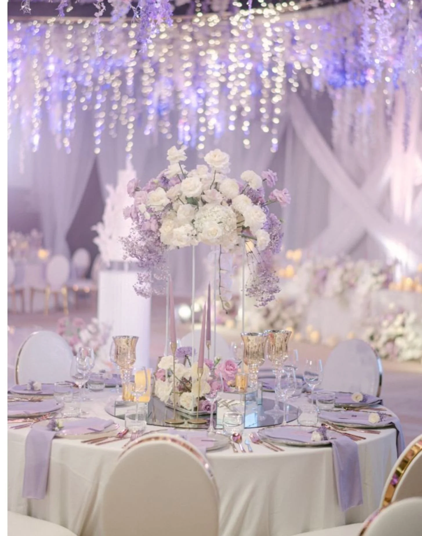 WhatsApp Image 2026-01-19 at 12.42.27 PM.jpeg