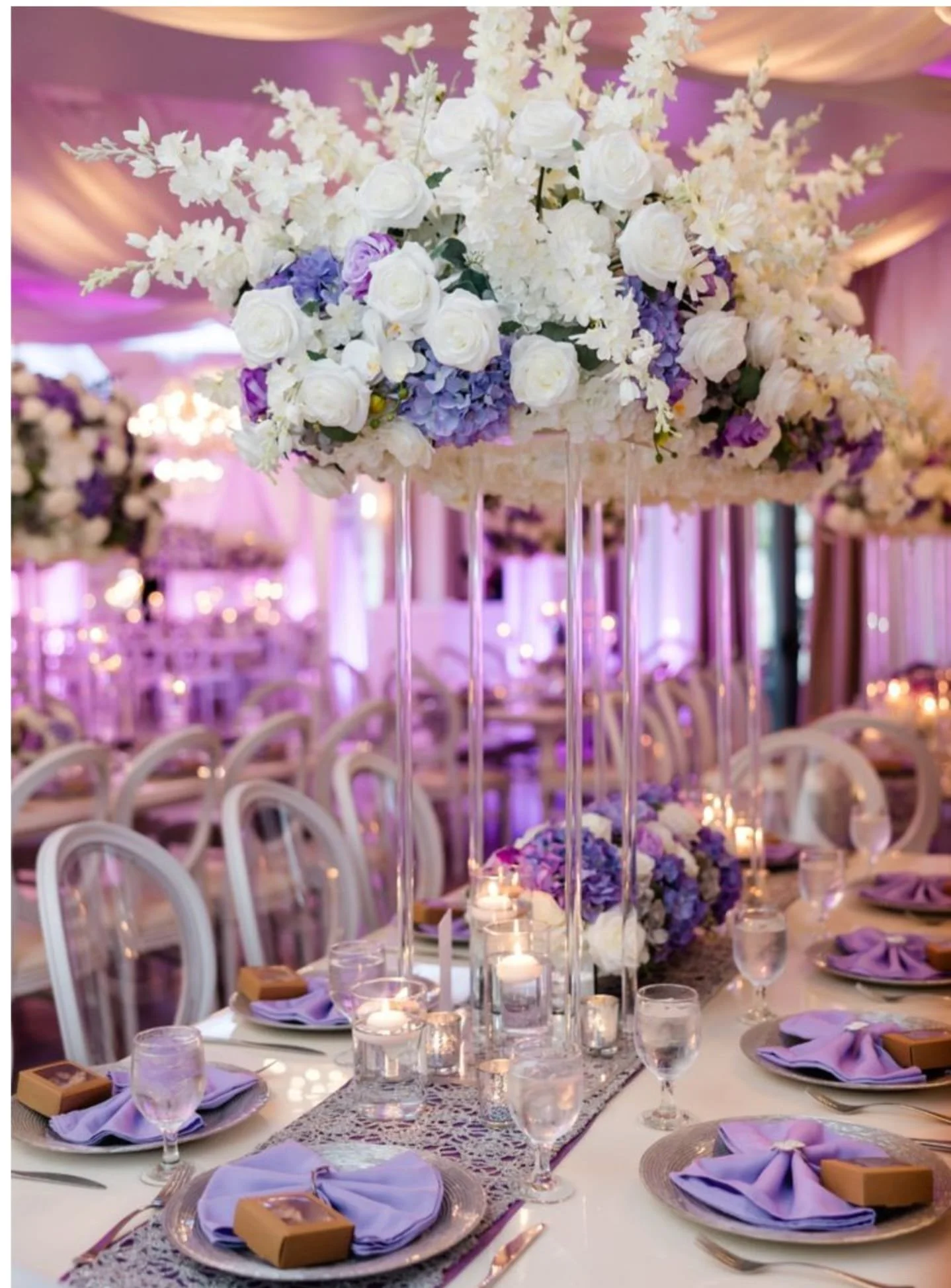 WhatsApp Image 2026-01-19 at 12.42.42 PM.jpeg