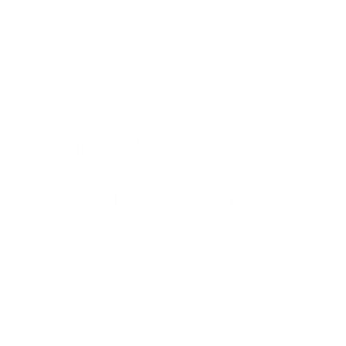 Disney Interactive Studios logo in white text on a black background