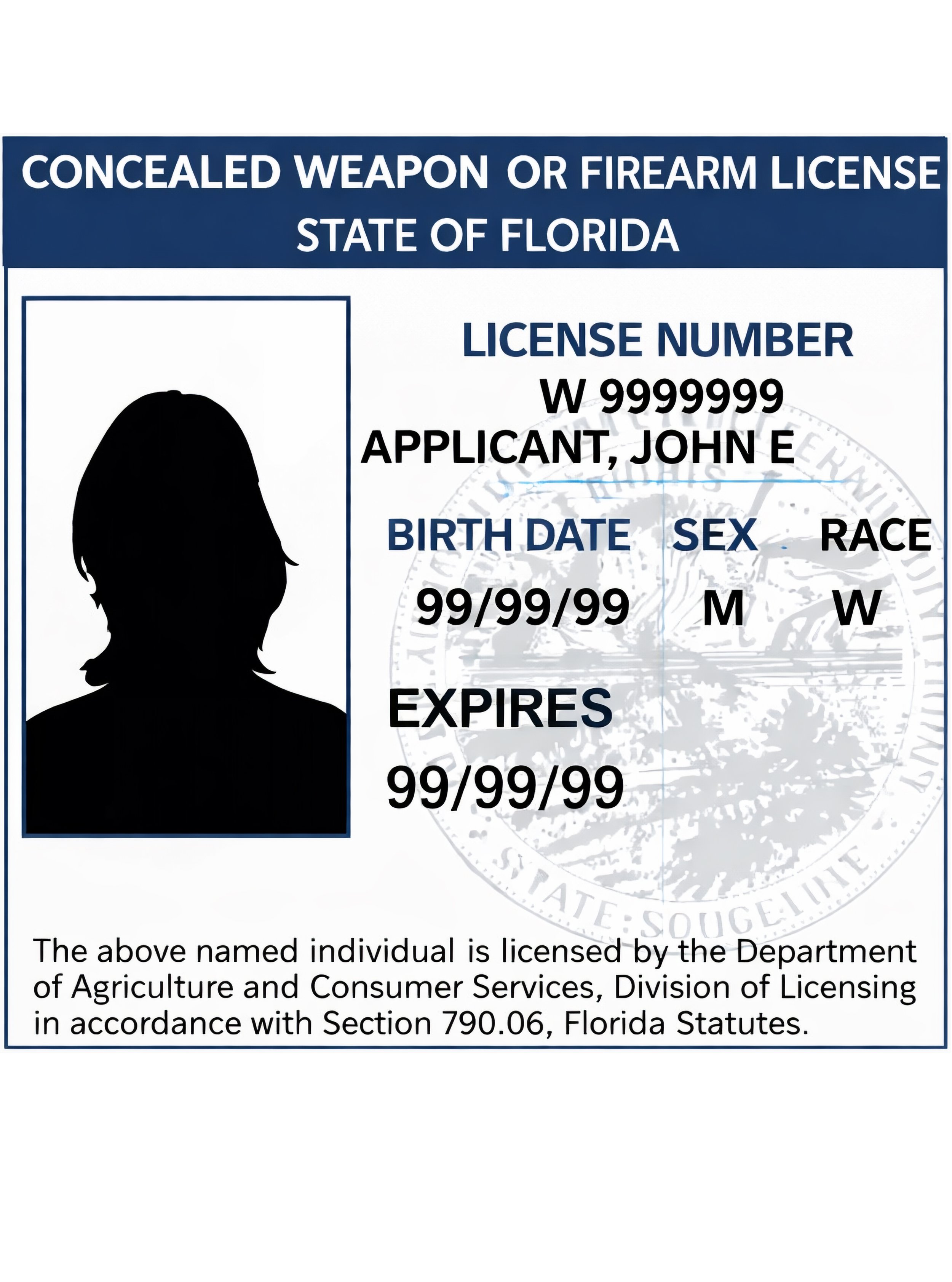 Florida's CCW Application Walkthrough