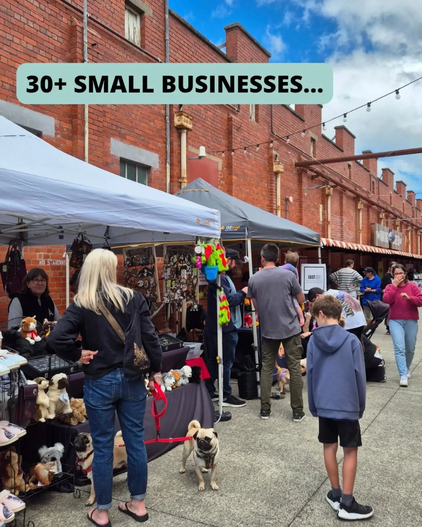 Geelong Dog Lovers Market (Christmas Edition)