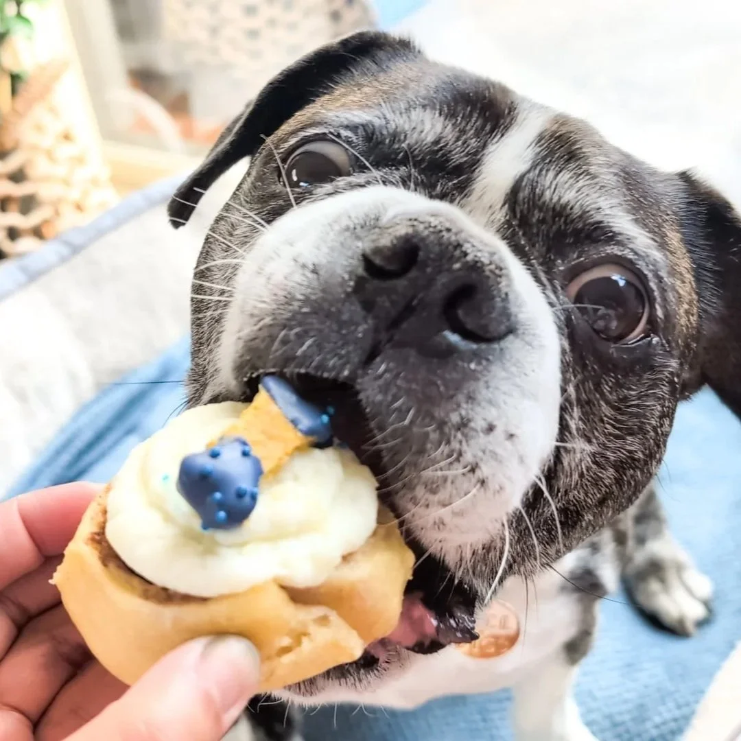 Dog Scrolls (Pack of 9)