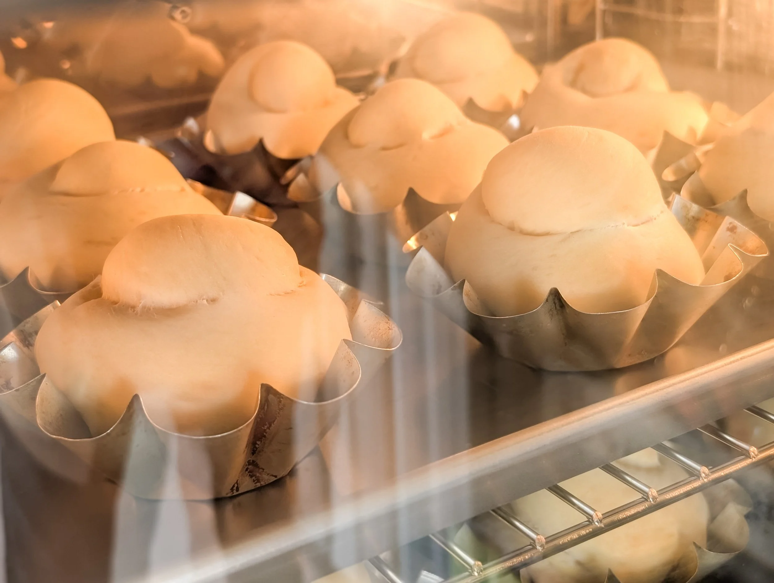 processed_PXL_20260116_023225238.PORTRAIT.jpg (Copy)