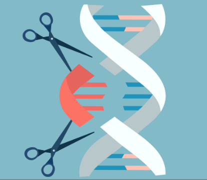 What CRISPR Reveals About the Challenge of Explaining Breakthrough Science