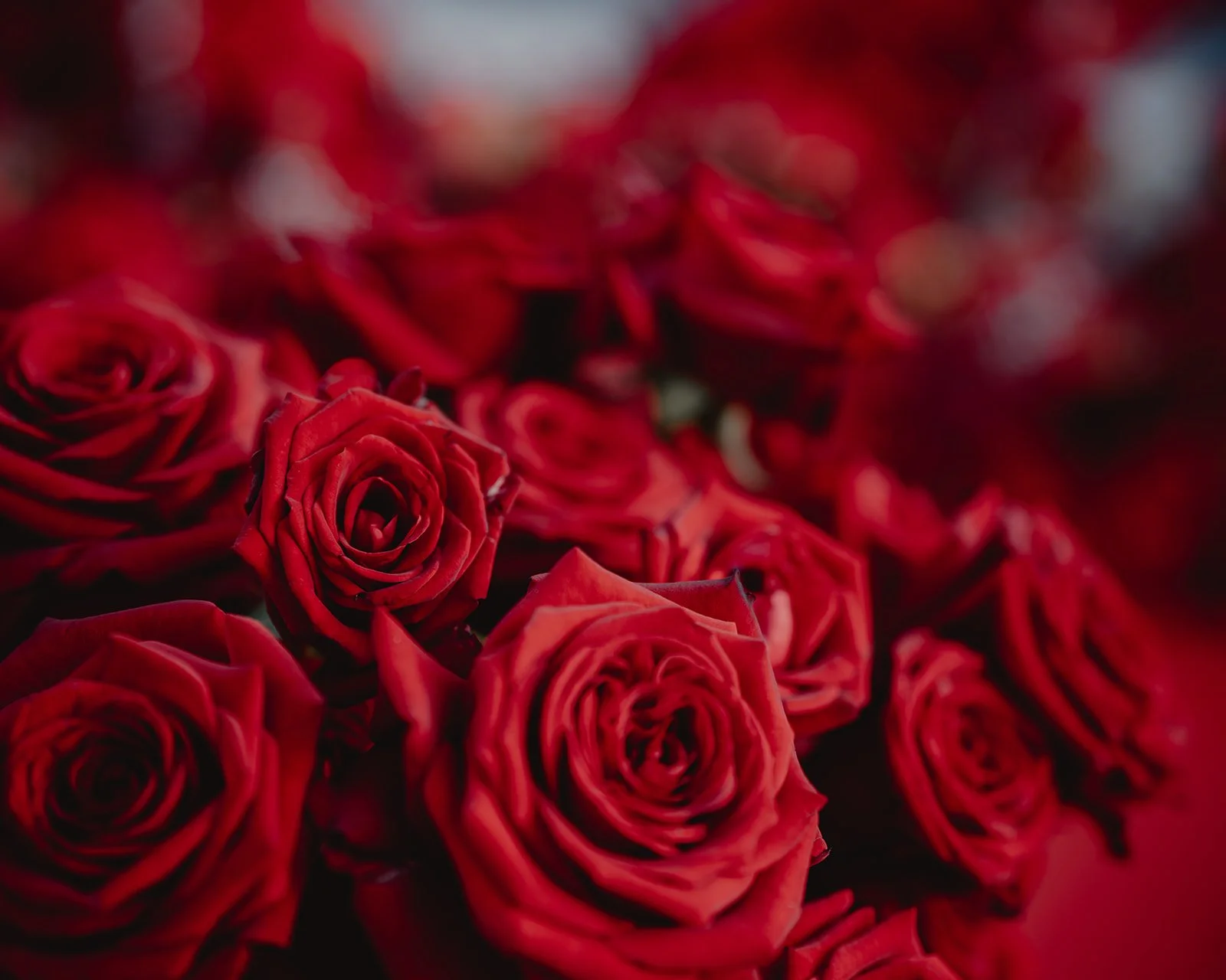 Heiratsantrag PUR Hurden_71.jpg