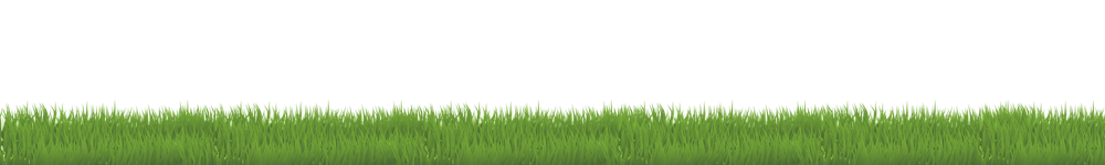 Close-up view of green grass blades with a black background.