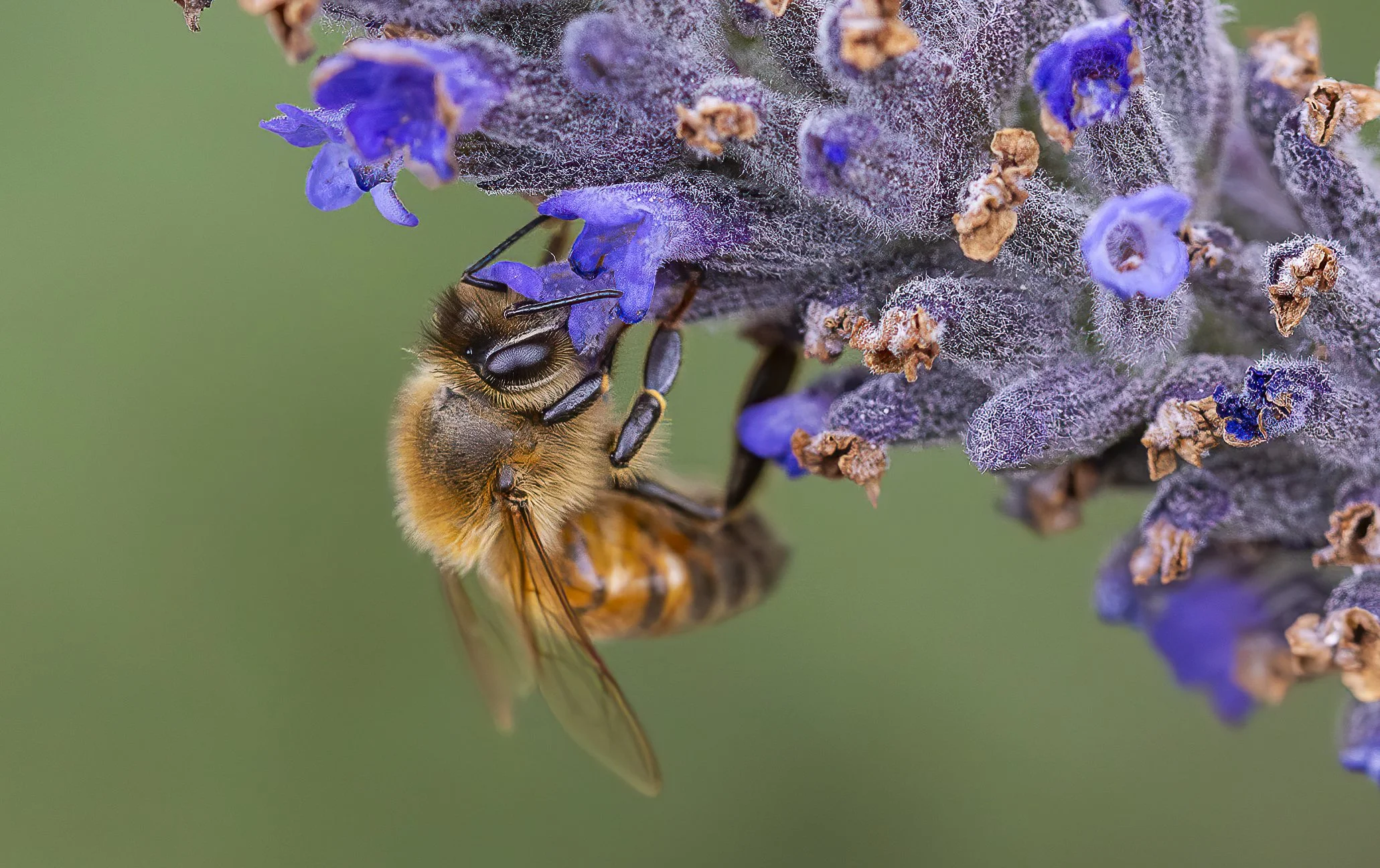 5 Life Lessons I Have Learned From My Garden