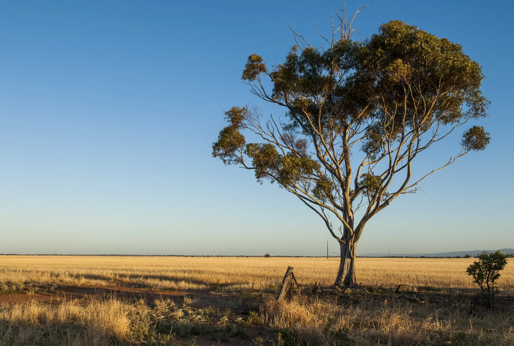 New Year, Sustainable You