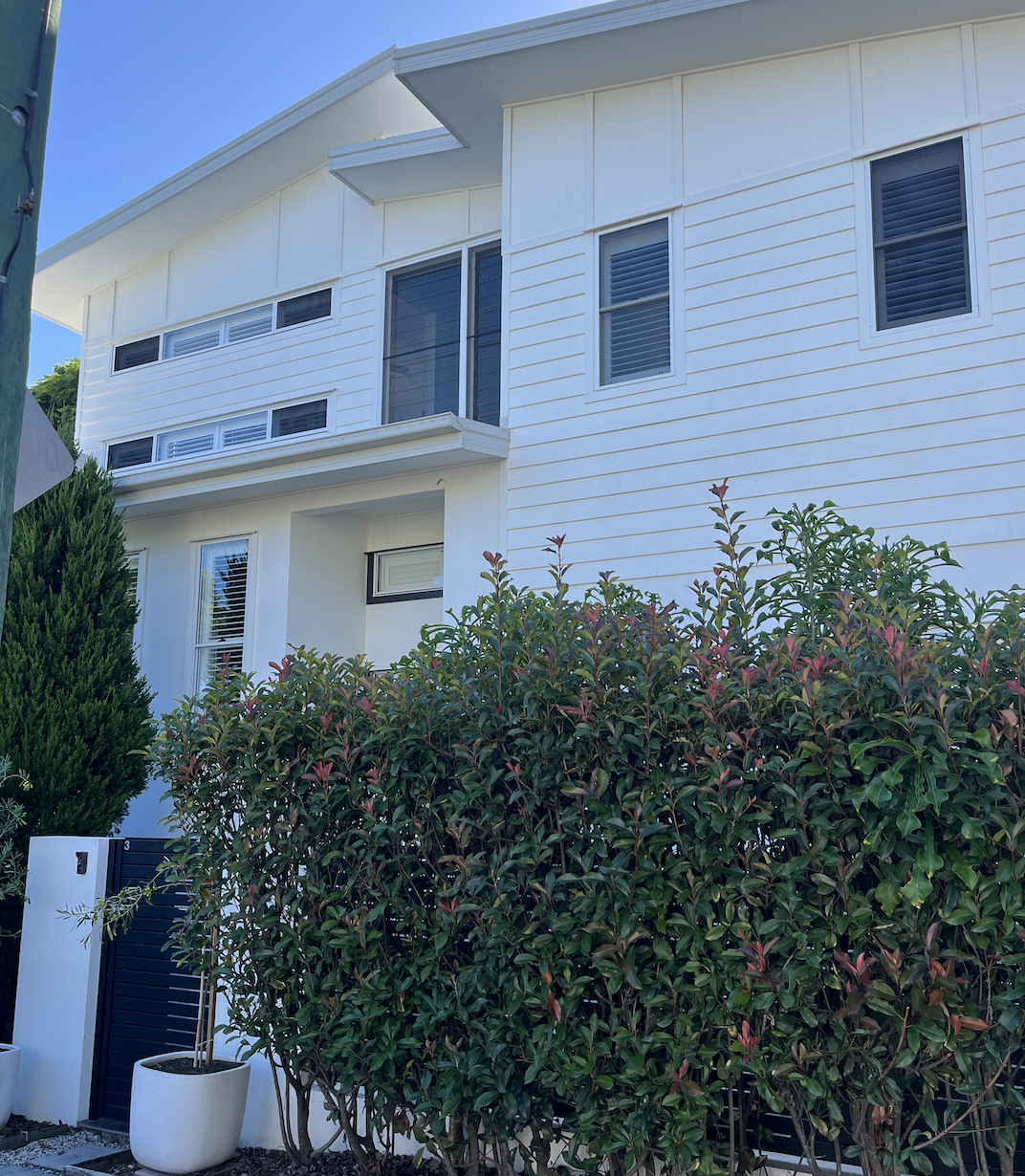 A modern white house with multiple windows, partially obscured by green and reddish bushes in the foreground, and a blue sky in the background.