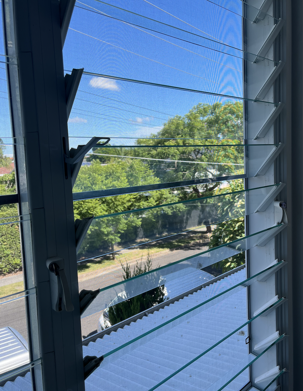 Open window with venetian blinds, showing a view of trees and a sunny sky outside.